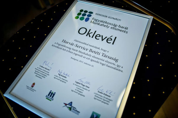 fogyatekossag barat elismeres